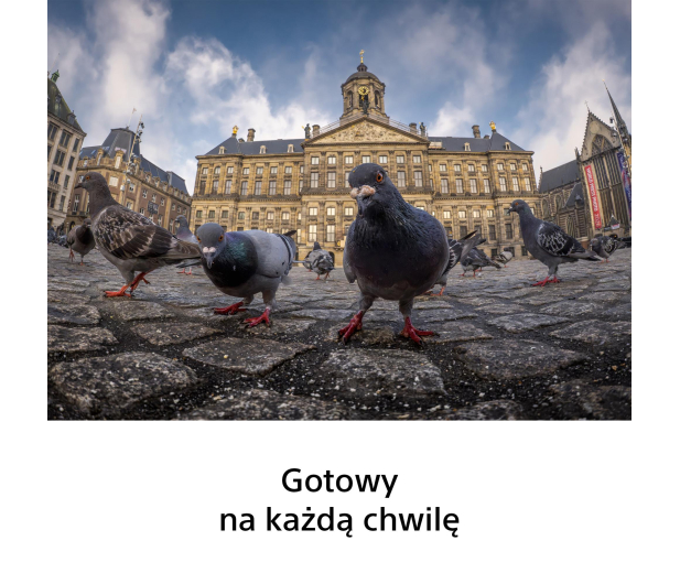 Sony FE 8–14mm f/3.5 Fisheye G - 1596375 - zdjęcie 4